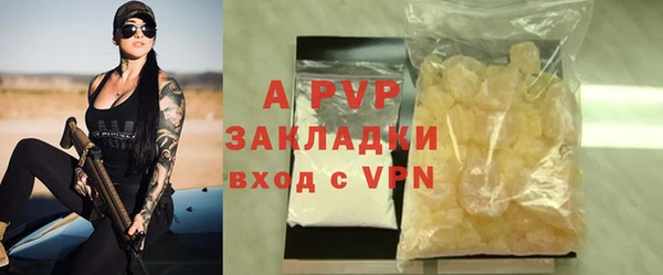 PSILOCYBIN Карталы