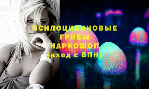 PSILOCYBIN Карталы