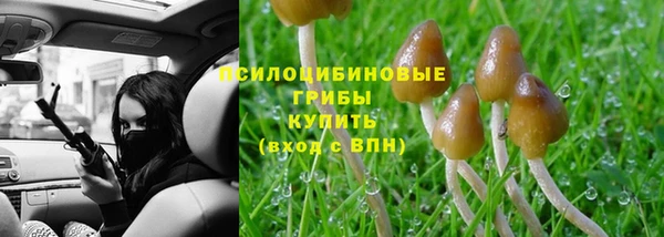 спайс Иннополис
